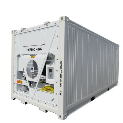CONTENITORE FRIGORIFERO DA 20 FT